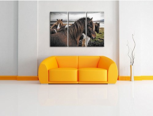 Pixxprint Herde aus schönen Wildpferden / 3-Teilig/Gesamtmaß 120cm Leinwandbild bespannt auf Holzrahmen/Wandbild Kunstdruck Dekoration