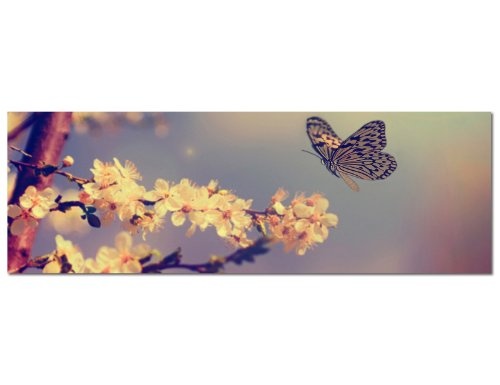 Augenblicke Wandbilder Keilrahmenbild Wandbild 150x50cm Kirschblüten Schmetterling Frühling Vintage