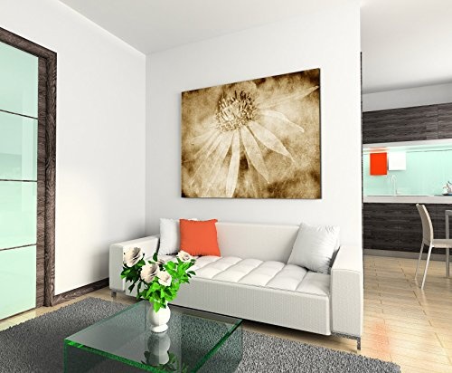 Augenblicke Wandbilder 120x80cm XXL riesige Bilder fertig gerahmt mit Keilrahmenin Sepia Vintage Blüte Aster