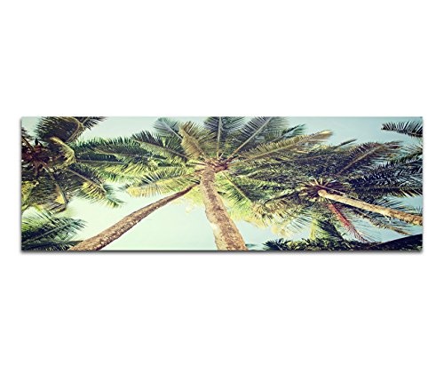 Augenblicke Wandbilder Keilrahmenbild Wandbild 150x50cm Palmen Himmel Vintage