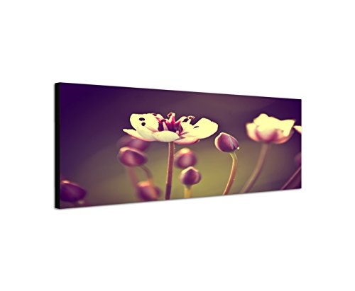 Augenblicke Wandbilder Keilrahmenbild Wandbild 150x50cm Blüten Blumen Vintage