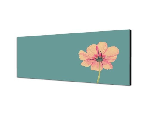 Augenblicke Wandbilder Keilrahmenbild Wandbild 150x50cm Blüte Blume Frühling Vintage