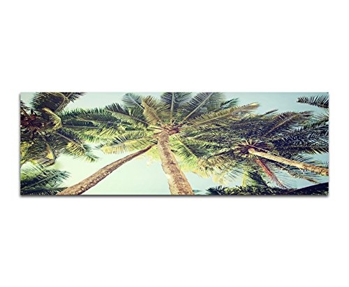 Augenblicke Wandbilder Leinwandbild als Panorama in 150x50cm Palmen Himmel Vintage