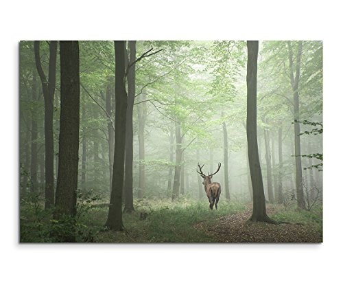 Sinus Art Wandbild 120x80cm Landschaftsfotografie -...