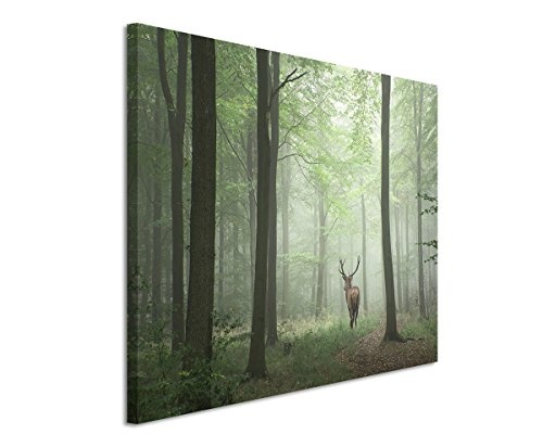 Sinus Art Wandbild 120x80cm Landschaftsfotografie - Hirsch im Nebelwald