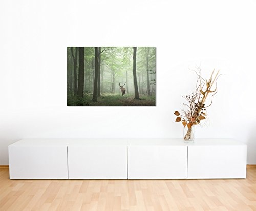 Sinus Art Wandbild 120x80cm Landschaftsfotografie - Hirsch im Nebelwald