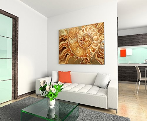Sinus Art Wandbild 120x80cm Naturfotografie - Ammonit Fossil in Goldtönen