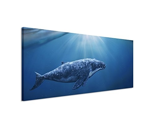Wunderschönes Wandbild 150x50cm Bild - Unterwasser Blauwal