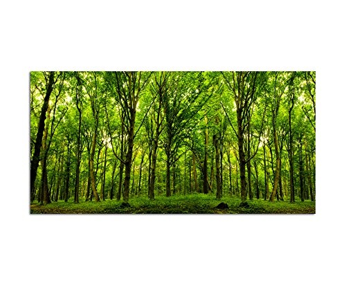 120x60cm - Fotodruck auf Leinwand und Rahmen Wald Bäume Natur Sonnenstrahlen - Leinwandbild auf Keilrahmen modern stilvoll - Bilder und Dekoration