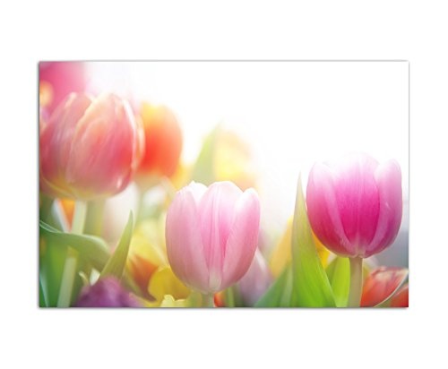 120x80cm - Fotodruck auf Leinwand und Rahmen Tulpen Blumen Frühling farbenfroh - Leinwandbild auf Keilrahmen modern stilvoll - Bilder und Dekoration