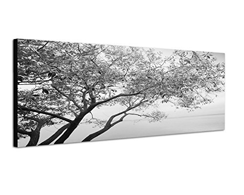 Augenblicke Wandbilder Keilrahmenbild Panoramabild SCHWARZ/Weiss 150x50cm Fluss Baum Nebel Nacht Sterne