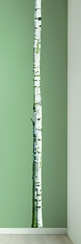 KEK Amsterdam - Baum / Birke - Wandtattoo / Wandsticker / Wandbild 8 x 260 cm