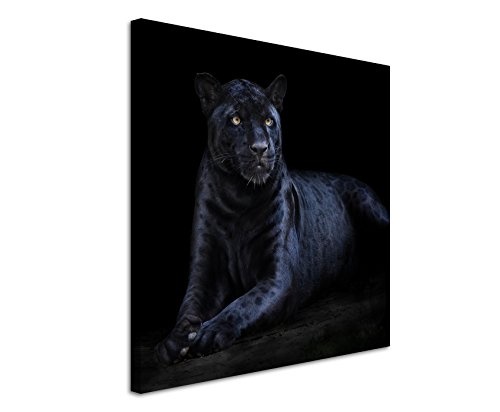 Leinwandbilder quadratisch 60x60cm Tierbilder - Seltener schwarzer Jaguar