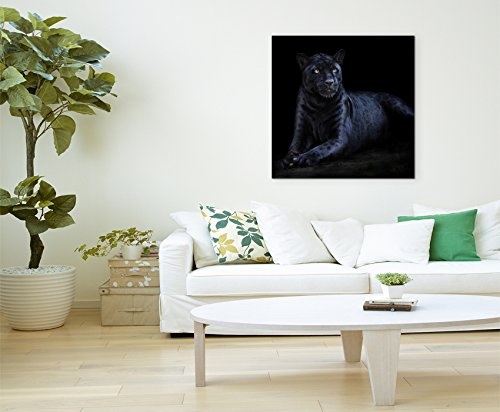 Leinwandbilder quadratisch 60x60cm Tierbilder - Seltener schwarzer Jaguar