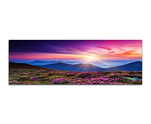 Augenblicke Wandbilder Leinwandbild als Panorama in 150x50cm Ukraine Berge Blumenwiese Abendsonne