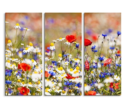 3x40x90cm (Gesamt:130x90cm) 3teiliges Bild auf Leinwand Blumenwiese Frühling Wandbild auf Leinwand als Panorama