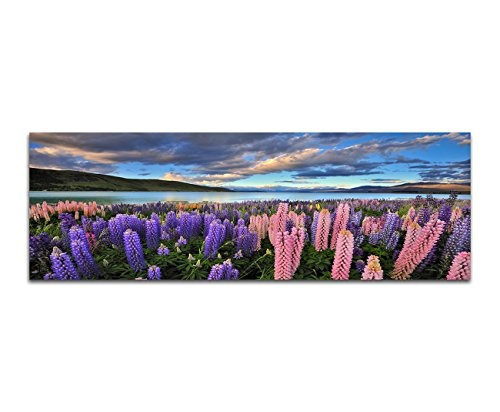Augenblicke Wandbilder Leinwandbild als Panorama in 150x50cm Neuseeland Blumenwiese Berge See Natur