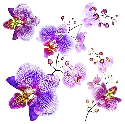 AG Design SS 3859 Orchideen, Wand Sticker, Colorful, 30 x...