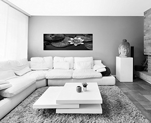 Augenblicke Wandbilder Keilrahmenbild Panoramabild SCHWARZ/Weiss 150x50cm Wasser Wasserrose Blätter Tropfen