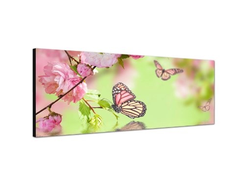 Augenblicke Wandbilder Keilrahmenbild Wandbild 150x50cm Kirschblüten Schmetterlinge Wasser Spiegelung