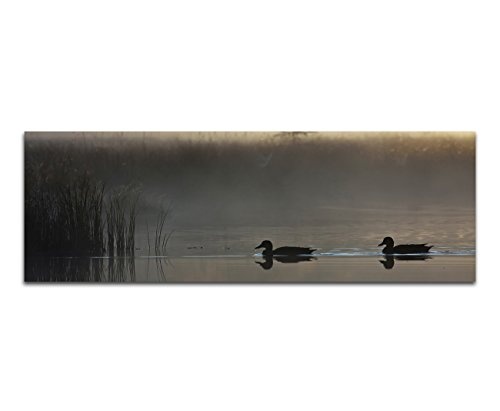 Augenblicke Wandbilder Keilrahmenbild Wandbild 150x50cm Wasser Enten Schilf Dunst Nebel Dämmerung