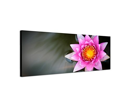 Augenblicke Wandbilder Keilrahmenbild Wandbild 150x50cm Wasser Lotusblume pink