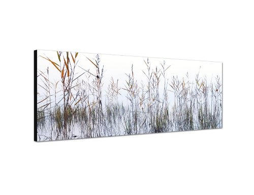 Augenblicke Wandbilder Keilrahmenbild Wandbild 150x50cm See Wasser Seegras Nebel Dunst