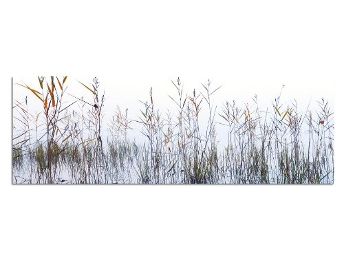 Augenblicke Wandbilder Keilrahmenbild Wandbild 150x50cm See Wasser Seegras Nebel Dunst