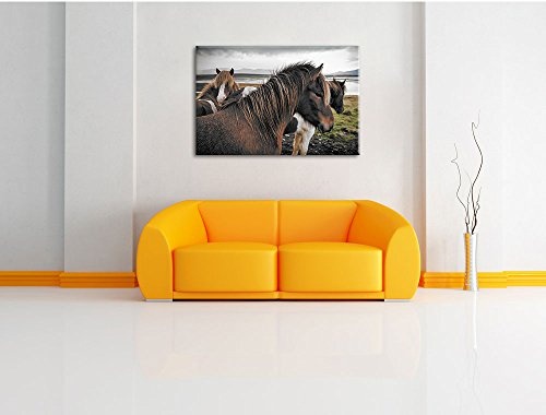 Pixxprint Herde aus schönen Wildpferden / 60x40cm Leinwandbild bespannt auf Holzrahmen/Wandbild Kunstdruck Dekoration