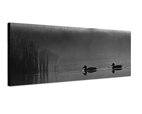 Augenblicke Wandbilder Keilrahmenbild Panoramabild SCHWARZ/Weiss 150x50cm Wasser Enten Schilf Dunst Nebel Dämmerung