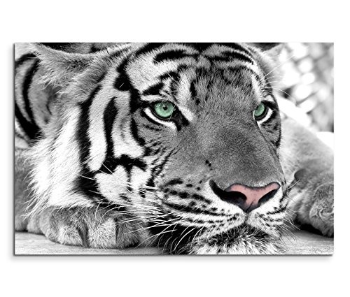 Sinus Art Leinwandbild 120x80cm Künstlerische Fotografie - Weißer Tiger mit grünen Augen