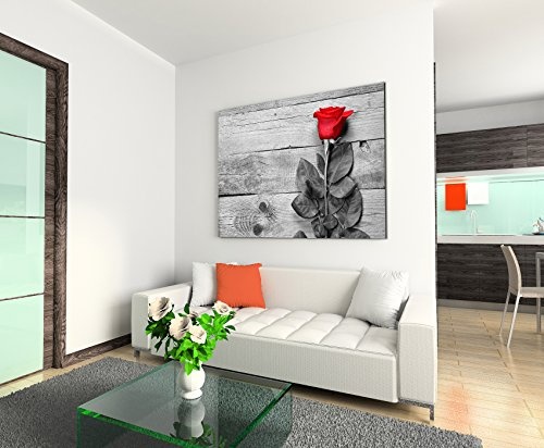 Paul Sinus Art Kunstfoto auf Leinwand 60x40cm Künstlerische Fotografie - Rote Rose mit Grauem Hintergrund auf Leinwand Exklusives Wandbild Moderne Fotografie für Ihre Wand in Vielen Größen