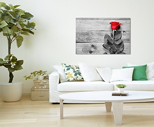 Paul Sinus Art Kunstfoto auf Leinwand 60x40cm Künstlerische Fotografie - Rote Rose mit Grauem Hintergrund auf Leinwand Exklusives Wandbild Moderne Fotografie für Ihre Wand in Vielen Größen