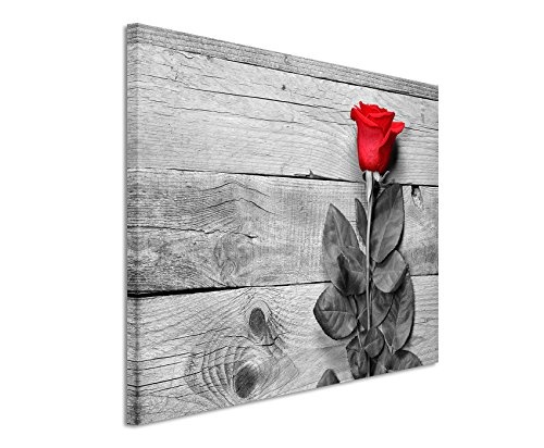 Paul Sinus Art Kunstfoto auf Leinwand 60x40cm Künstlerische Fotografie - Rote Rose mit Grauem Hintergrund auf Leinwand Exklusives Wandbild Moderne Fotografie für Ihre Wand in Vielen Größen