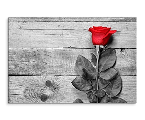 Paul Sinus Art Kunstfoto auf Leinwand 60x40cm Künstlerische Fotografie - Rote Rose mit Grauem Hintergrund auf Leinwand Exklusives Wandbild Moderne Fotografie für Ihre Wand in Vielen Größen