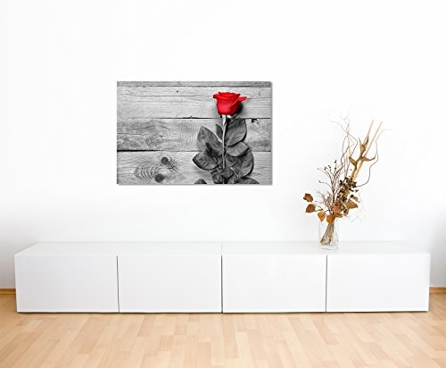 Paul Sinus Art Kunstfoto auf Leinwand 60x40cm Künstlerische Fotografie - Rote Rose mit Grauem Hintergrund auf Leinwand Exklusives Wandbild Moderne Fotografie für Ihre Wand in Vielen Größen