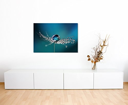 XXL Fotoleinwand 120x80cm Naturfotografie - Pusteblumen mit Morgentau auf Leinwand exklusives Wandbild moderne Fotografie für ihre Wand in vielen Größen