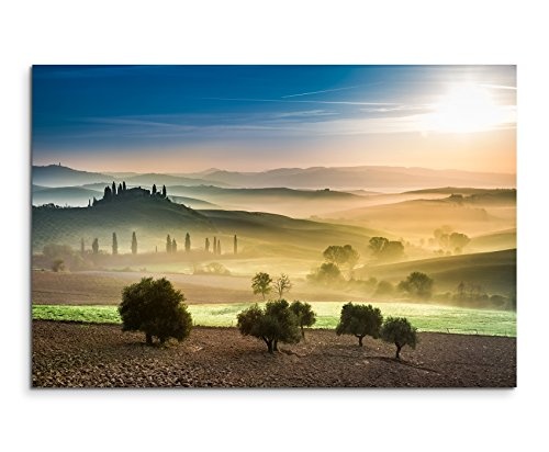 Paul Sinus Art Kunstfoto auf Leinwand 60x40cm Landschaftsfotografie - Gold Grüne Felder der Toskana auf Leinwand Exklusives Wandbild Moderne Fotografie für Ihre Wand in Vielen Größen