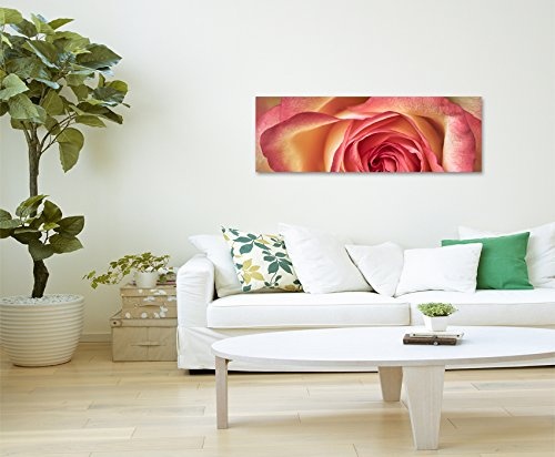 Panoramabild 150x50cm Naturfotografie - Rosa gelbe Rose auf Leinwand exklusives Wandbild moderne Fotografie für ihre Wand in vielen Größen