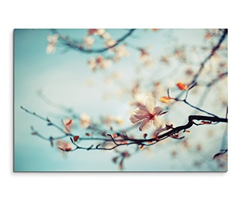 XXL Fotoleinwand 120x80cm Naturfotografie - Kirschblüten vor blauem Himmel auf Leinwand exklusives Wandbild moderne Fotografie für ihre Wand in vielen Größen