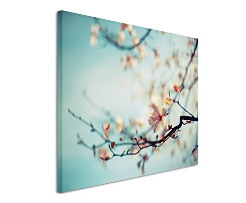 XXL Fotoleinwand 120x80cm Naturfotografie - Kirschblüten vor blauem Himmel auf Leinwand exklusives Wandbild moderne Fotografie für ihre Wand in vielen Größen