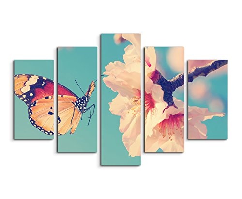 Sinus Art Wandbild 5 teilig gesamt 150x100cm Naturfotografie - Schmetterling an Einer Kirschblüte