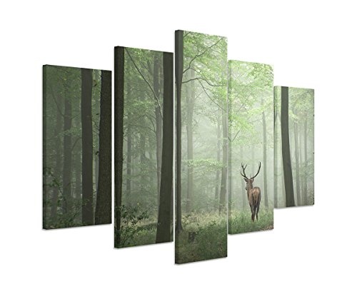 Sinus Art Wandbild 5 teilig gesamt 150x100cm Landschaftsfotografie - Hirsch im Nebelwald
