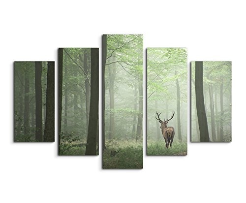 Sinus Art Wandbild 5 teilig gesamt 150x100cm Landschaftsfotografie - Hirsch im Nebelwald