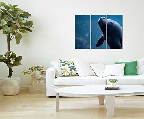 3 teiliges Bild Bilder gesamt 130x90cm Tierbilder - Unterwasser Seekuh