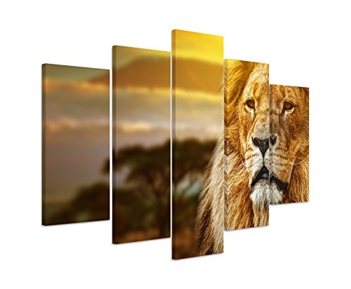 Bild Bilder 5 teilig gesamt 150x100cm Tierbilder - Löwe in goldener Savanne