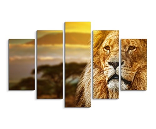 Bild Bilder 5 teilig gesamt 150x100cm Tierbilder - Löwe in goldener Savanne