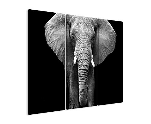 3 teiliges Bild Bilder gesamt 130x90cm Tierbilder - Großer Elefanten von vorne schwarz weiß