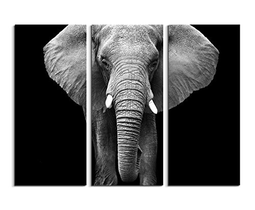 3 teiliges Bild Bilder gesamt 130x90cm Tierbilder - Großer Elefanten von vorne schwarz weiß