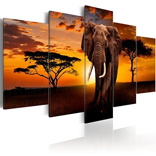 murando - Bilder 225x112 cm Vlies Leinwandbild 5 TLG Kunstdruck modern Wandbilder XXL Wanddekoration Design Wand Bild - Afrika Elefant Tier Natur Landschaft wie gemalt g-C-0025-b-m